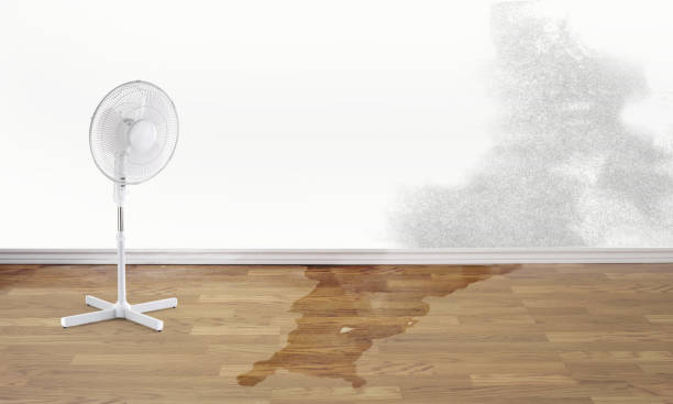Best Carpet water damage restoration  in Bard College, NY