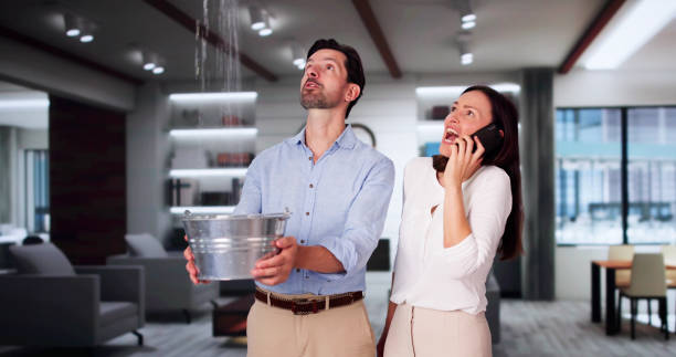 Best Mold removal after water damage  in Bard College, NY