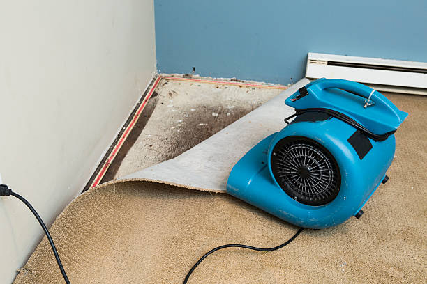 Best Carpet water damage restoration  in Bard College, NY